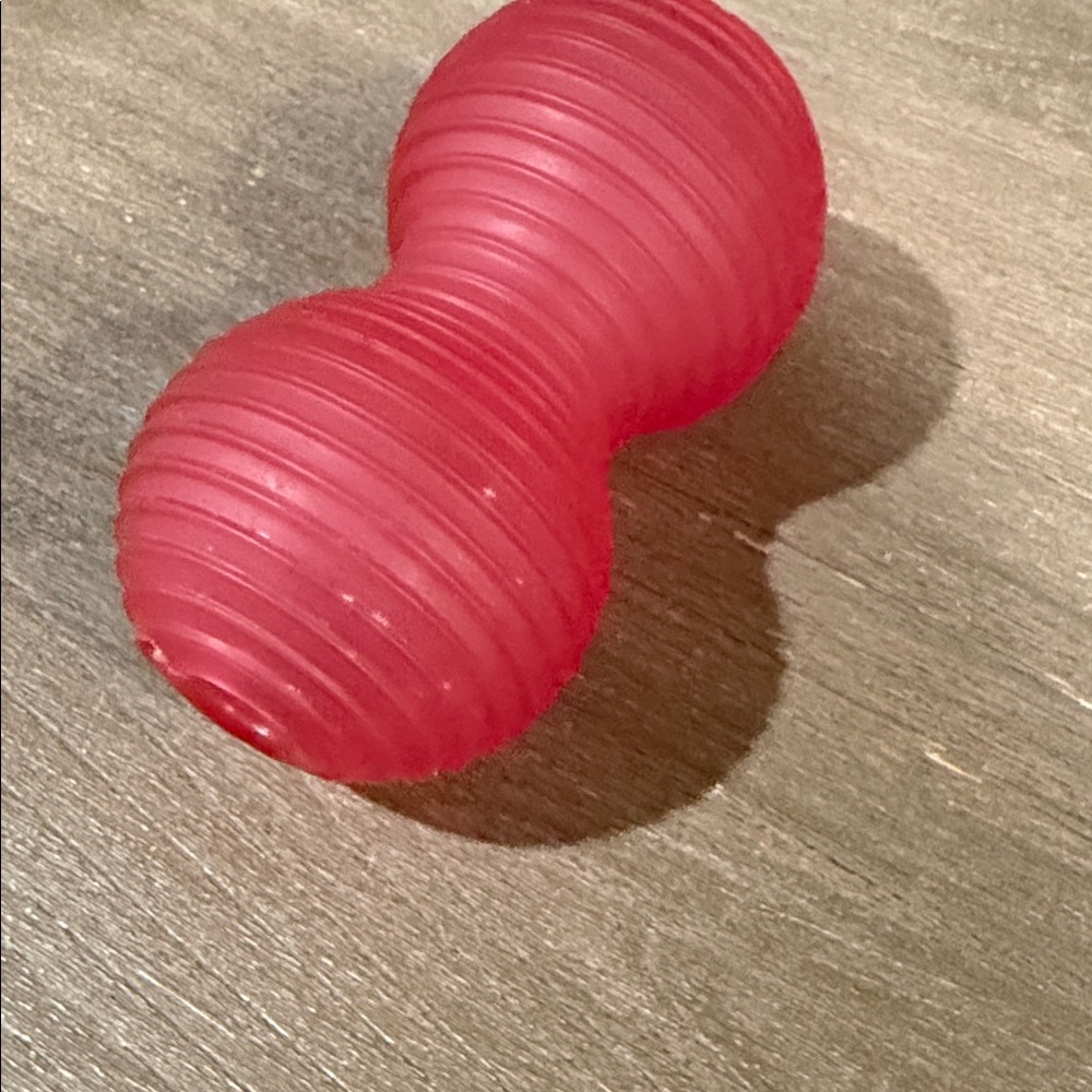 treat toy for dogs
